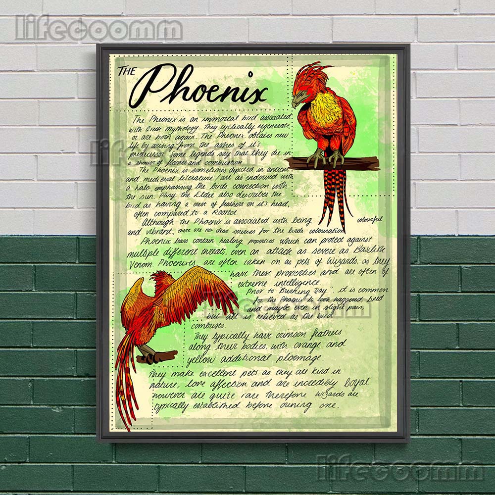 Wizardry Herbology And Botany  - đánh giá và giá Star Map Poster